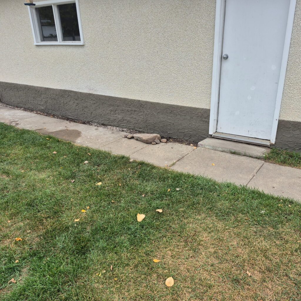 professional parging